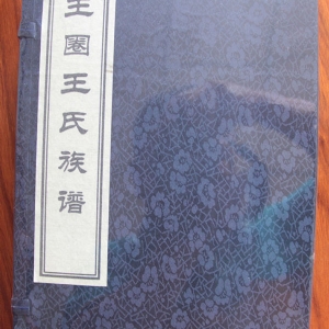 王圈王氏族谱
